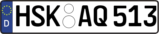 HSK-AQ513
