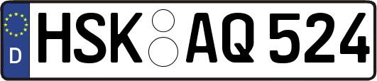 HSK-AQ524