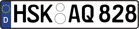 HSK-AQ828