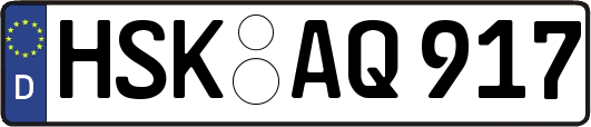 HSK-AQ917