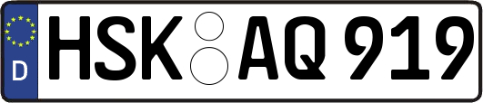 HSK-AQ919