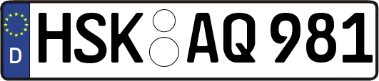 HSK-AQ981