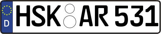 HSK-AR531