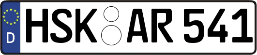 HSK-AR541