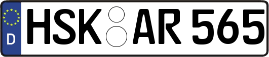 HSK-AR565