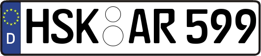 HSK-AR599