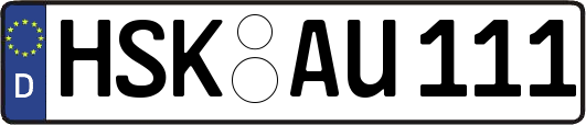 HSK-AU111