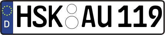 HSK-AU119