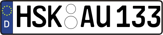 HSK-AU133