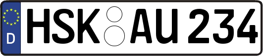 HSK-AU234