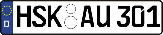 HSK-AU301