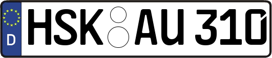 HSK-AU310
