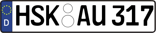 HSK-AU317