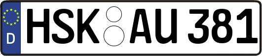 HSK-AU381