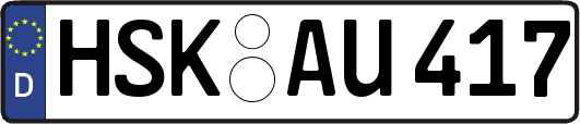 HSK-AU417