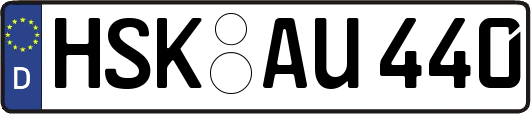 HSK-AU440