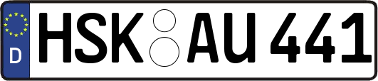 HSK-AU441