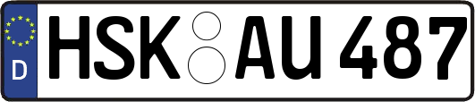 HSK-AU487