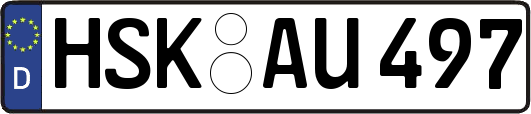 HSK-AU497