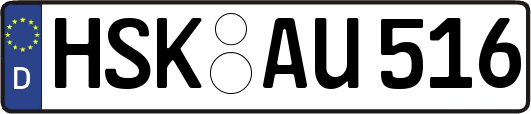 HSK-AU516