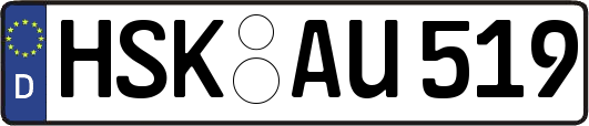 HSK-AU519