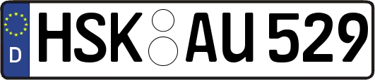 HSK-AU529
