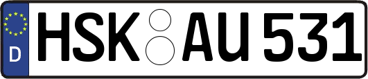 HSK-AU531