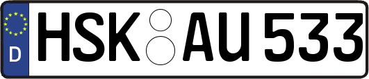 HSK-AU533