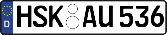 HSK-AU536