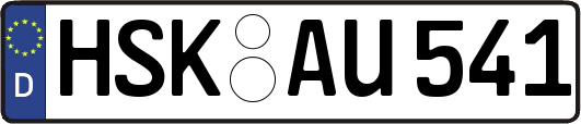 HSK-AU541
