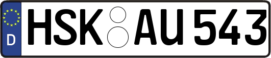 HSK-AU543