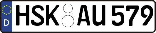 HSK-AU579