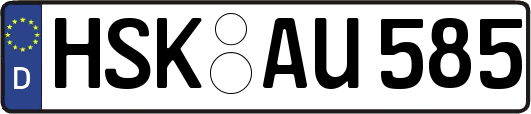 HSK-AU585