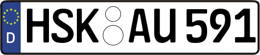 HSK-AU591