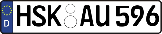 HSK-AU596