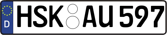 HSK-AU597