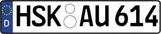 HSK-AU614