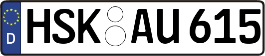 HSK-AU615