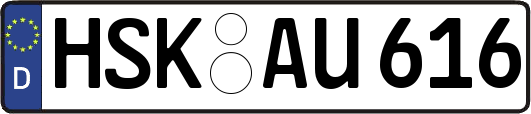 HSK-AU616
