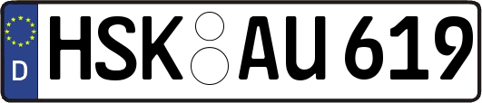 HSK-AU619
