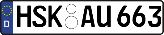 HSK-AU663