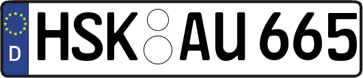 HSK-AU665