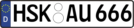 HSK-AU666