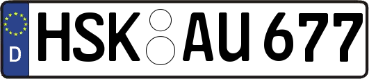 HSK-AU677