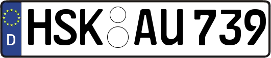 HSK-AU739