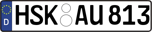 HSK-AU813