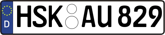 HSK-AU829