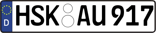 HSK-AU917