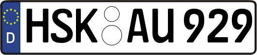 HSK-AU929