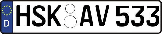 HSK-AV533